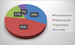 Gráfico, Gráfico circular
Descripción generada automáticamente