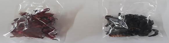 Imagen que contiene tabla, nieve, pieza, alimentos

Descripción generada automáticamente