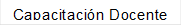 Capacitación Docente