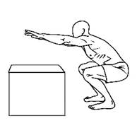 Todo sobre las sentadillas: ¡los 5 mejores tipos! | Zumub.com