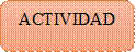 ACTIVIDAD LÚDICA