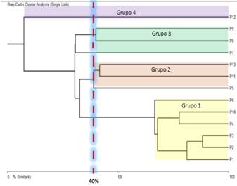 Diagrama

Descripción generada automáticamente