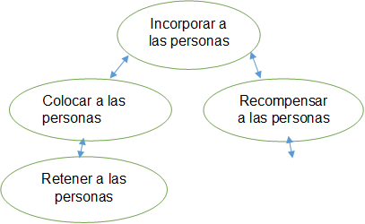 Incorporar a las personas,Retener a las personas,Colocar a las personas,Recompensar a las personas

