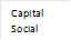 Capital     Social