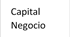 Capital Negocio