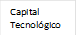 Capital Tecnológico