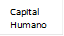 Capital Humano