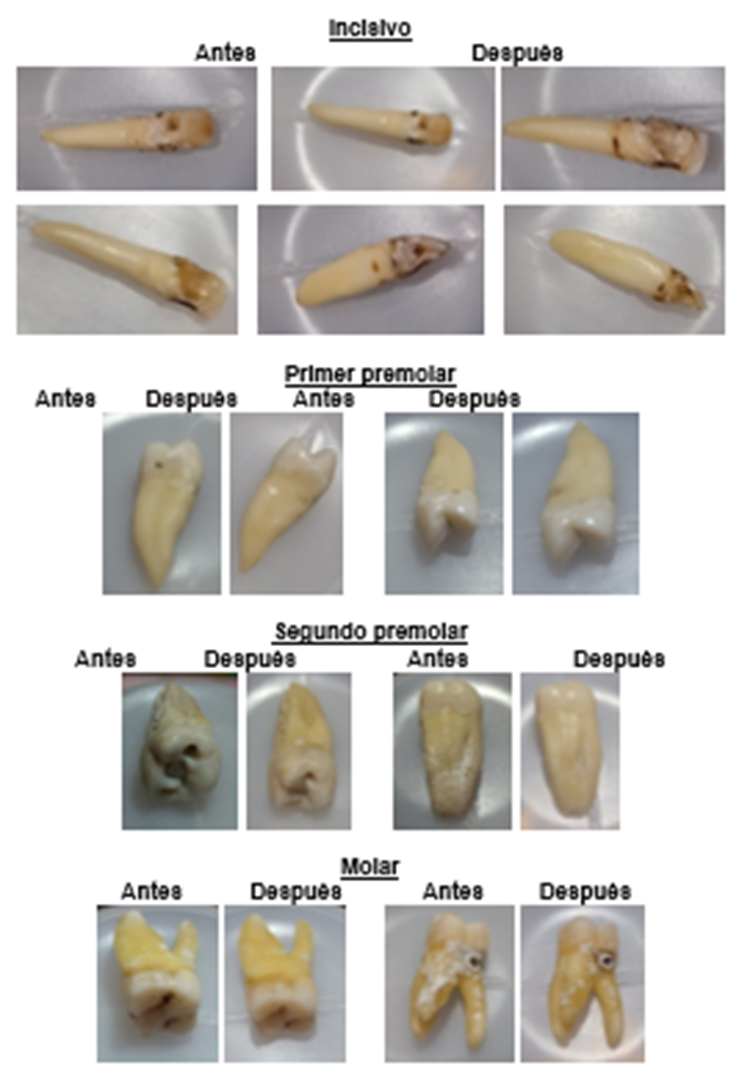 Interfaz de usuario gráfica, Aplicación, Sitio web
Descripción generada automáticamente